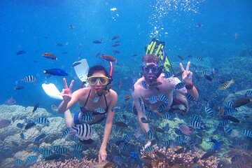 Nha Trang Island and Snorkeling full day tour