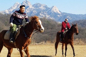 Private Horseback Riding with English Lesson in Seoul