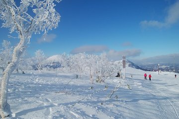 Shared Departure Transfer : Ski Resort in Hokkaido to Shin Chitose Airport