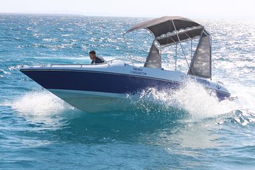 Excursions 4 hours private snorkel with dolphins by speedboat - Hurghada