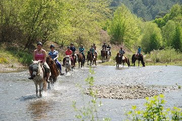 Horse Riding From Fethiye