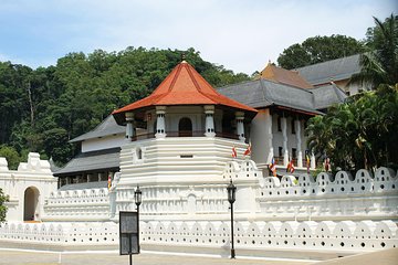 Airport (CMB) or Negombo to Kandy Private Taxi 24/7 Car, Van.