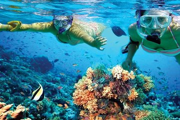 Tour to Cozumel with Snorkel, Boat trip, Lunch and Transportation from Cancun