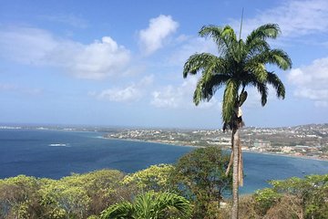 VIP Inclusive Private Tour of Island (Lunch, Drinks and More)