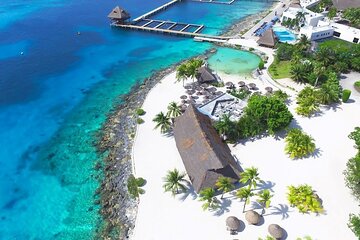 Save 20.00%! Full Day Tour, Cozumel with diving, Snorkeling and Tequila Tasting