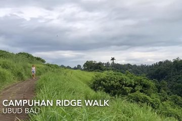 Bali Ubud Herbal Ridge Walk Private Tour - by En-Dag