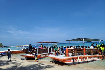 Chocolate Factory Rum cake Factory monkeys & sloth hangout plust snorkeling