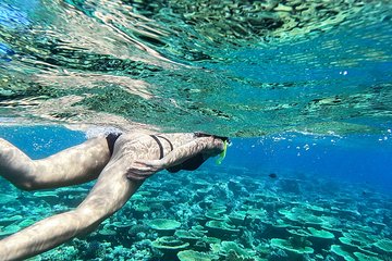 Snorkeling and Villigili island tour