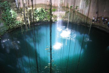 Cenotes snorkeling excursion incl. transport & lunch