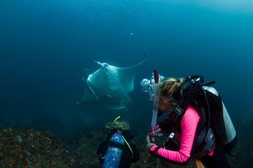 5-Hour Byron Bay Introductory Scuba Diving Tour