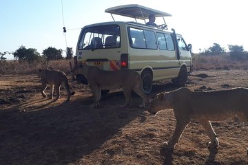 Tour Nairobi National Park