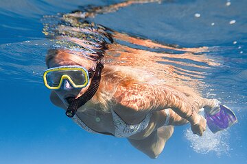 Nassau Glass Bottom Boat & Snorkelling Cruise & Hotel Pickup