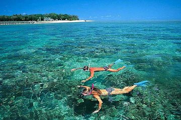 Cham Islands Day Tour: Speed Boat, Lunch, Snorkeling and Wonderful Beach