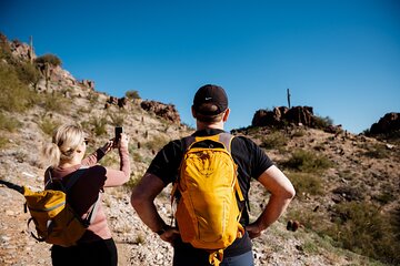 Private Group Sonoran Desert 1.5 Hour Hiking Adventure