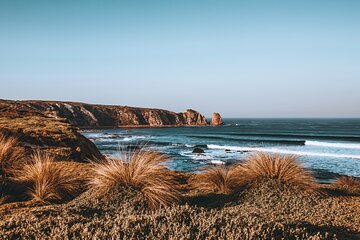 Private Phillip Island & Penguin Parade Hiking Tour from Melbourne