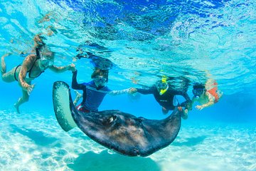 Full-Day Stingray City and Snorkeling Private Experience for 12 Guests