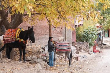 Private hiking trip around Imlil village in the High Atlas mountains
