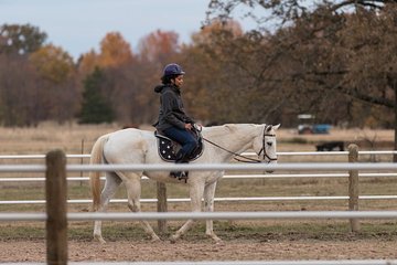 Retired Racehorses Private Riding Experience at Lake Fork