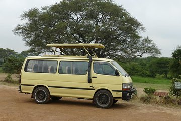 Game Safari at Nairobi Park/Elephant orphange/Giraffe centre 6.a.m to 1.pm