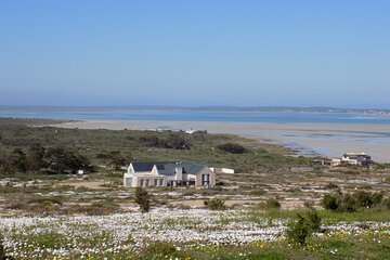 South Africa West Coast Full-Day Private Tour