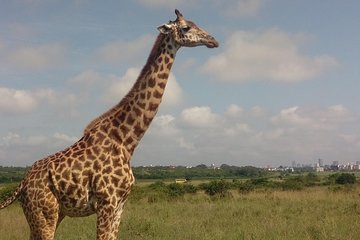 Nairobi Excursions
