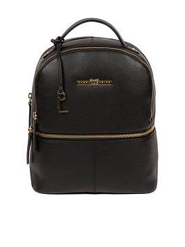 Pure Luxuries London Pure Luxuries Hayes Black Leather Backpack