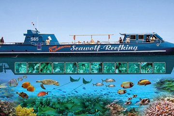 Day trip to Sea wolf submarine & snorkeling trip