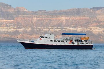 7-Day Whale Sharks, Sea Turtles and Snorkel Cruise from La Paz