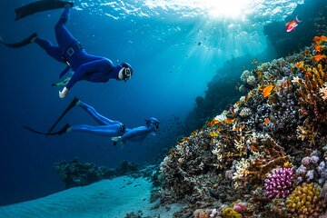 Budget Snorkeling Trip To Giftun Island in Hurghada