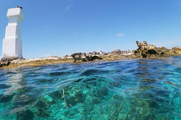 Mixed Trip Fish and Snorkel PRIVATE VIP TOUR 1 to 6 PEOPLE