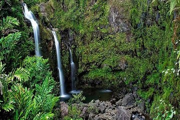 Oahu Grand Circle Island Tour + Dole Plantation + Macadamia Farms from Kauai