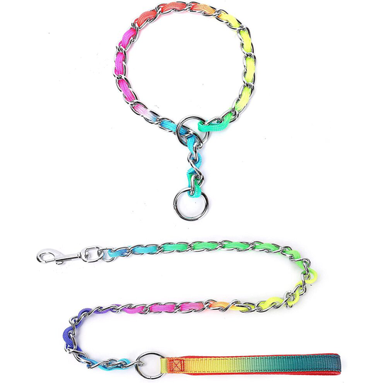 RWPQNG Dog Choke Chian Collar and Dog Leash Set,Personalized Rainbow Color Stainless Steel Heavy Duty Nylon&Metal Training Collars Puppy Necklace with
