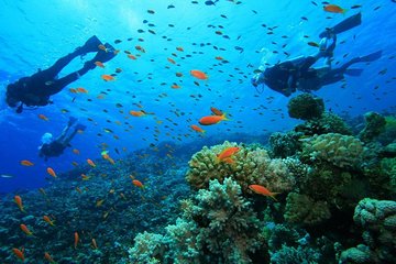 3 Day Signature Zanzibar Snorkelling Adventure