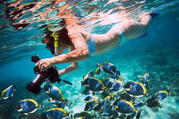 Giftun Island, all day trip with snorkeling