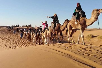Sahara Desert Overnight From Fez To Fez ( Small Group )