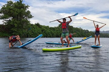 Private 2 hour afternoon SUP class for all ages and levels