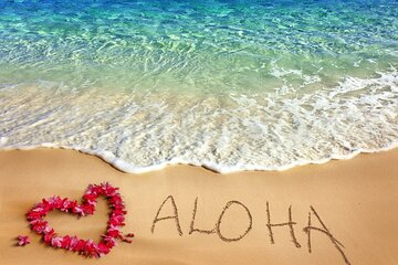 Aloha Grand Island Tour