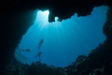 Sharm el-Sheikh: Snorkel & Camel Safari at Blue Hole