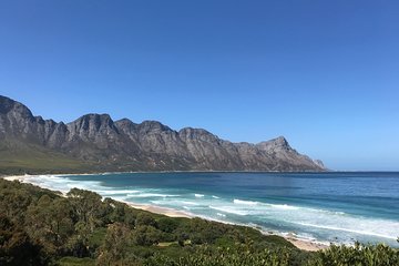 Guided beachcomber walks