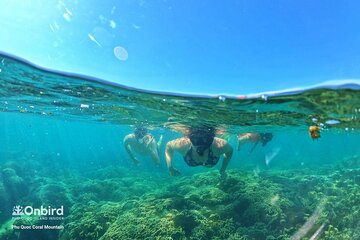 OnBird - SMALL-GROUP Snorkeling trip with CROWD-AVOIDING ROUTE (max 6-8 pax)