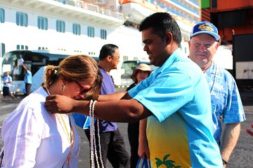 Private Transfer: Nadi Airport to Intercontinental Resort and Spa