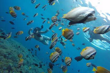 Amazing Nusa Penida Snorkeling Experience
