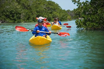 Key West Full-Day Island T'ing Eco-Tour: Sail, Kayak and Snorkel