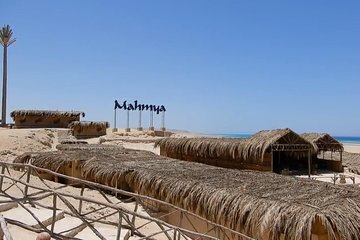 Mahmya Island Full Day Snorkeling Sea Trip With Lunch and Transfer - Hurghada