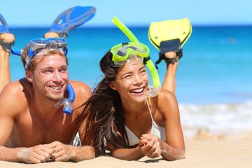 Swim with Turtles! Four Hour Snorkeling Motorboat Tour to Rose Island Beach