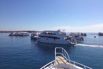 1 Day Snorkeling & Diving Trip to Tiran Island by Boat