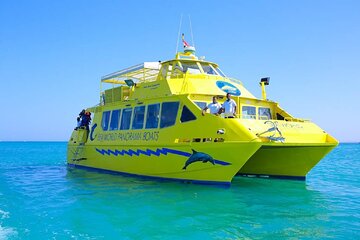 Paradise Island By Catamaran Snorkeling Sea Trip & Semi Submarine - Hurghada