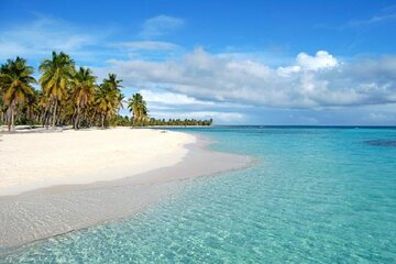Full Day Isla Saona Tour and Snorkel in Punta Cana