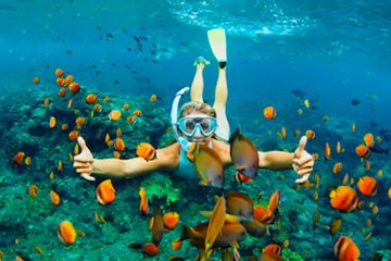 Snorkeling and Beach Break with Unlimited Drinks