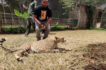 Nairobi Tours/Nairobi national park/Elephant & Giraffe Centre/Steadmak Orphanage
